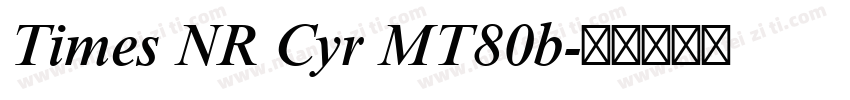 Times NR Cyr MT80b字体转换
